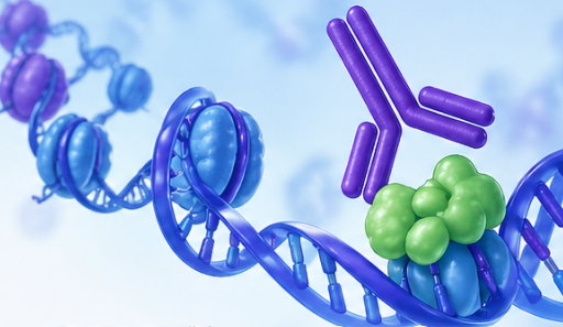 ChIP-seq service