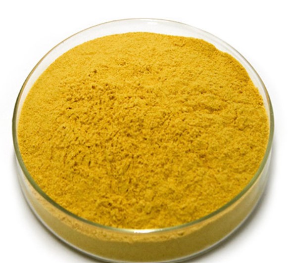 Curcumin extract