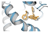 AI Digital Protein Screening