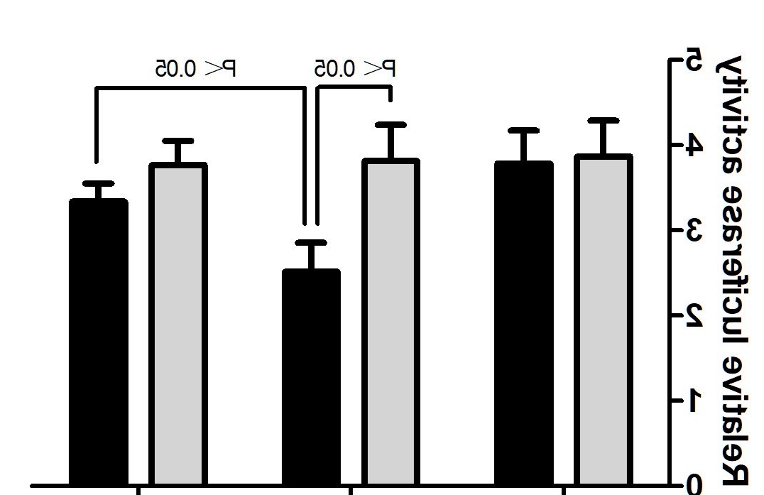 Dual-Luciferase assay for promoter activity