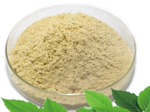 Ginseng extract