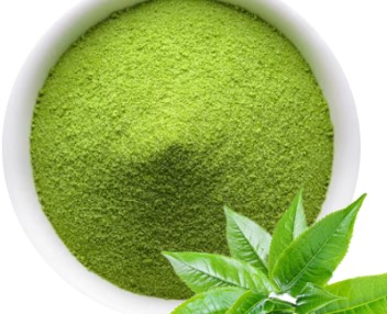 Green tea extract