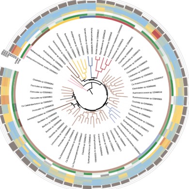 Microbiome / Metagenomics Analysis service