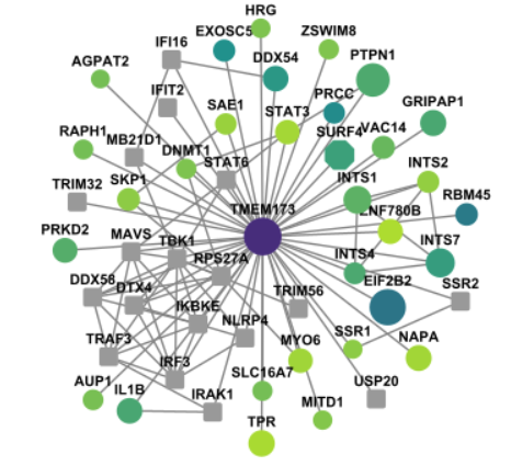Protein Interaction Network Analysis