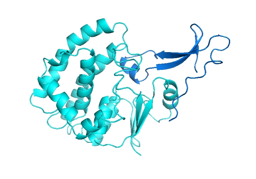 Protein Interaction Site Prediction
