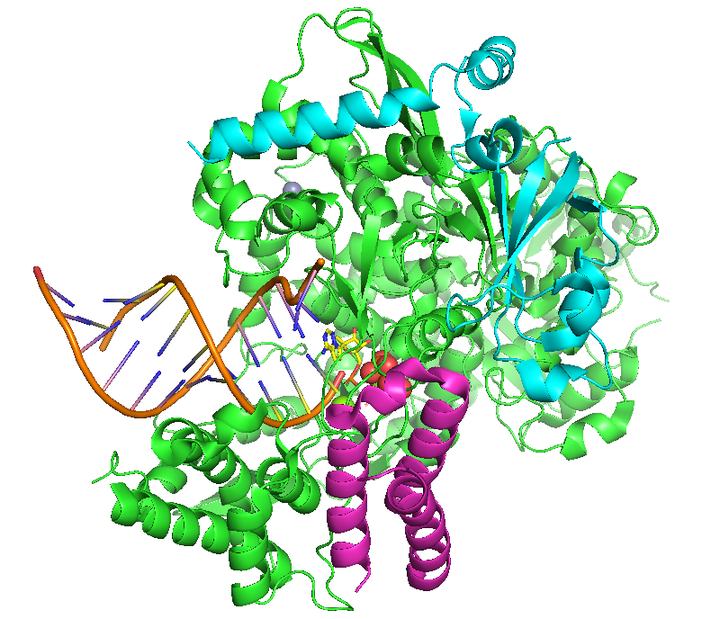 Protein-DNA and Protein-RNA Interaction Analysis