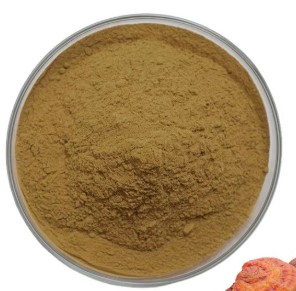 Reishi mushroom extract