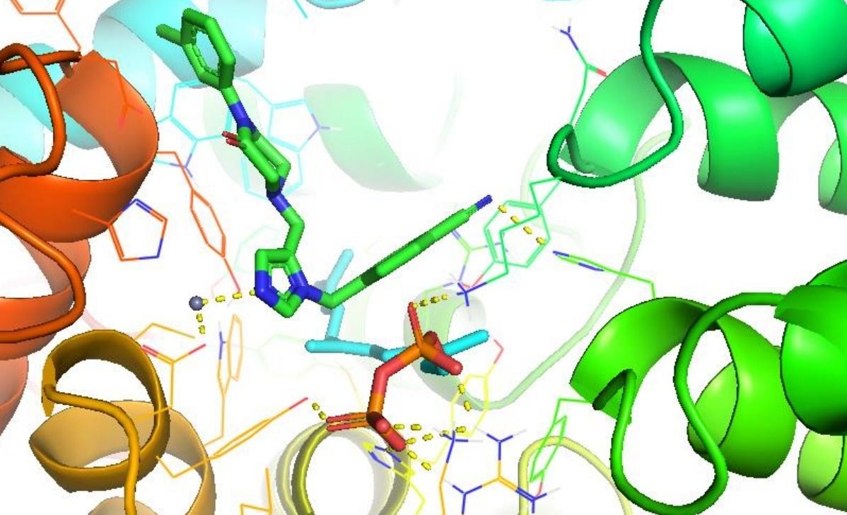 Small Molecule Docking Simulation