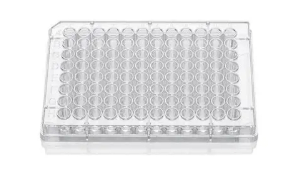 96-well Round-bottom Plate