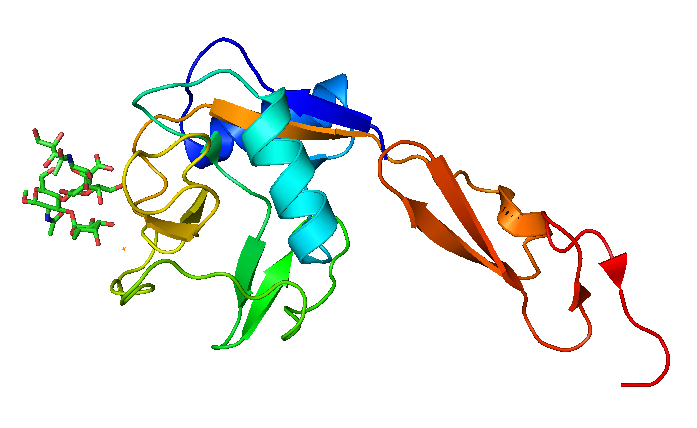 Protein-Protein Docking Simulation