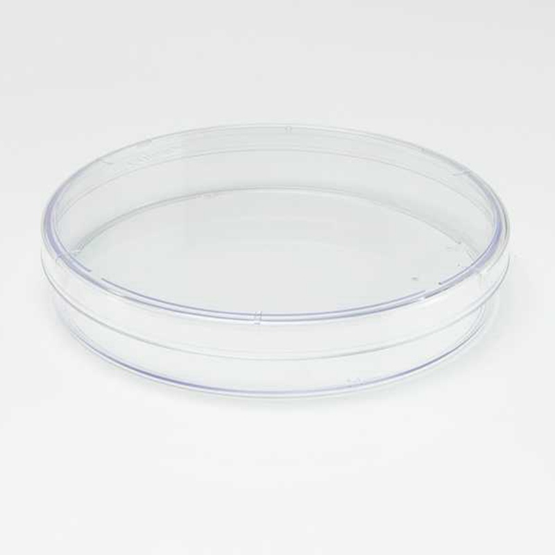 60mm Petri Dish